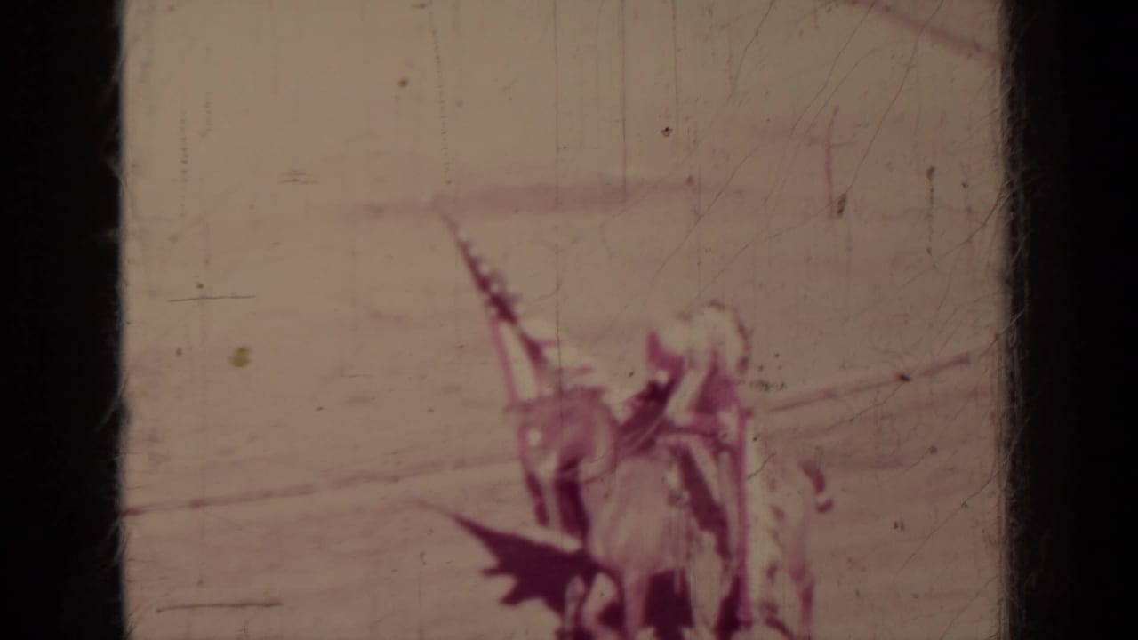 Distant riders in a 1937 Klamath arena scene carry an American flag during a staged horseback procession.