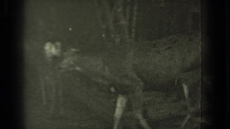 A deer with large antlers appears in low-light 1937 Klamath, California footage, moving through dark woodland.