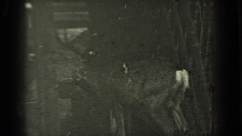 The antlered deer is partly seen near a tree or brush in grainy 1937 Klamath wildlife footage.