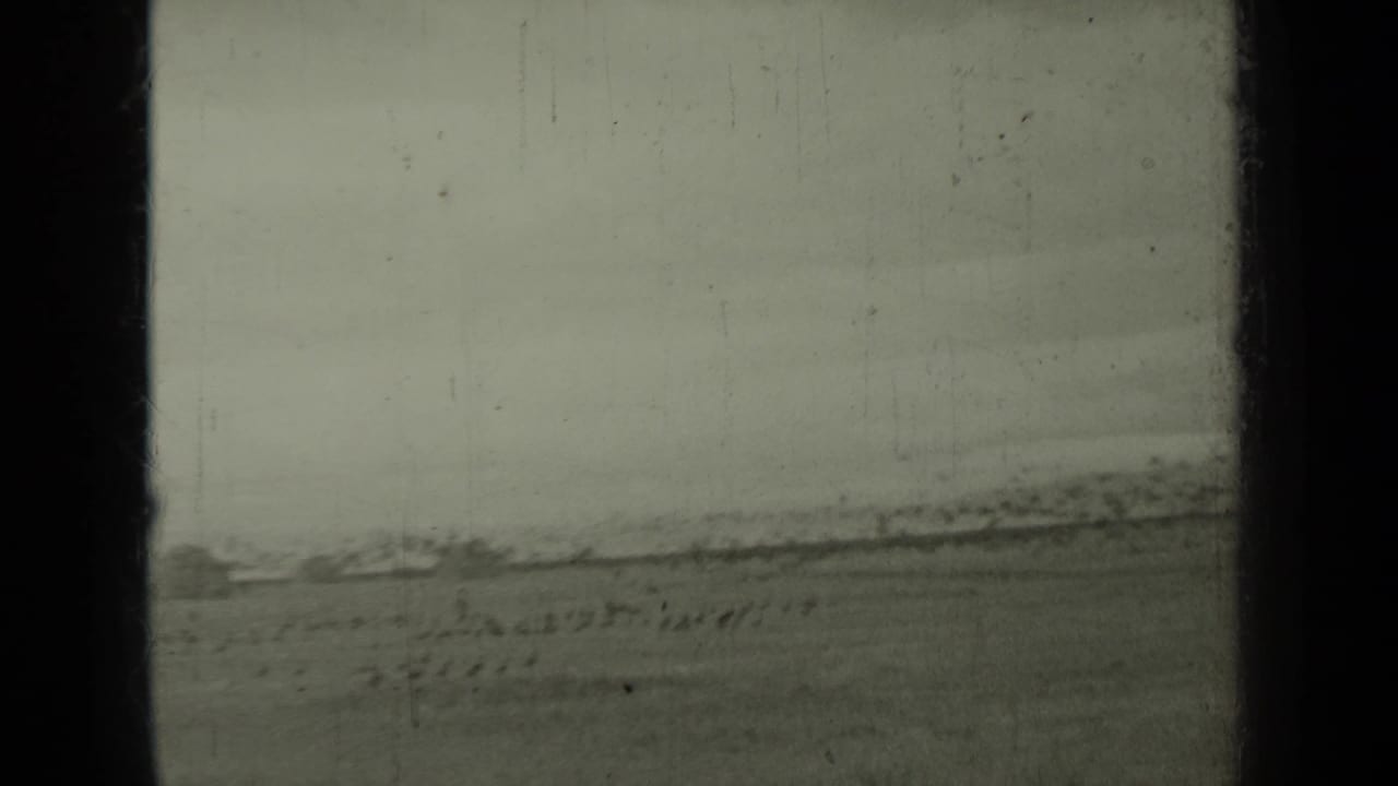 Flat rural field under a pale overcast sky with distant dark shapes near the horizon.
