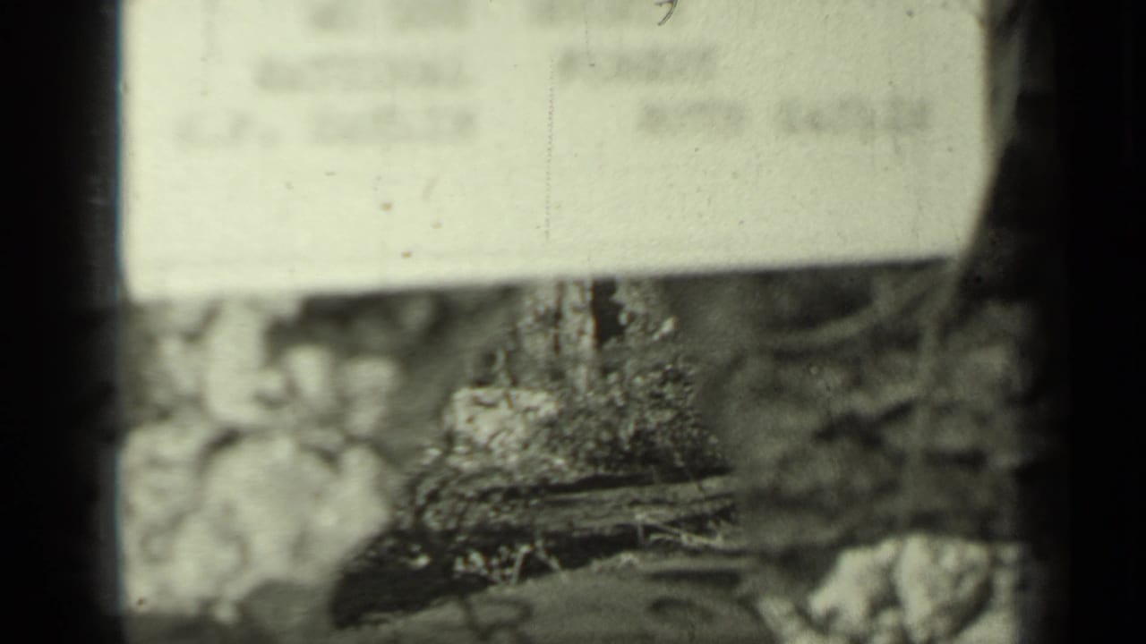 Blurred roadside sign or board above foliage, framed by dark 8mm film edges.
