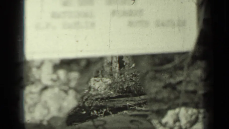 1937 Klamath, California home-movie frame with a soft, partially obscured roadside sign or board over brush and dark gate edges.