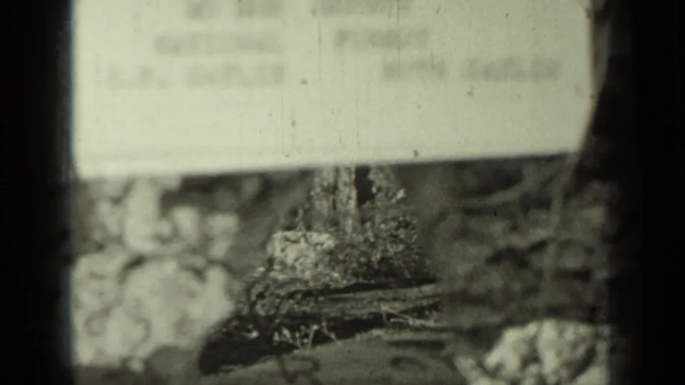 1937 home-movie frame from Klamath showing a blurred roadside sign area, surrounding brush, and pronounced 8mm gate shadows.