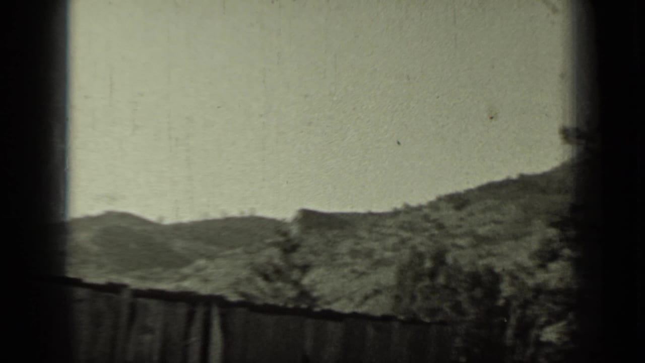 Rolling hillside and fence line viewed through a vertical window division.
