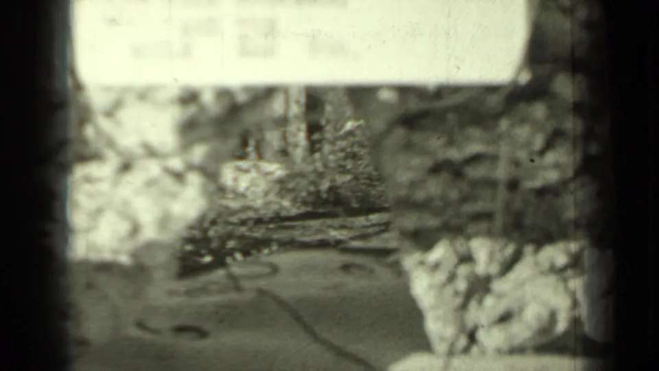 1937 Klamath, California 8mm frame with a soft, partly obscured hillside view, tree branches, and a pale foreground structure or reflection.