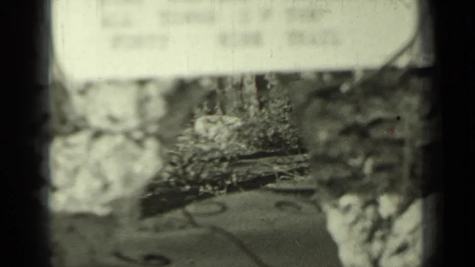 Obscured 8mm frame from the supplied 1937 Klamath, California clip showing trees, ground, and a rough stone wall.