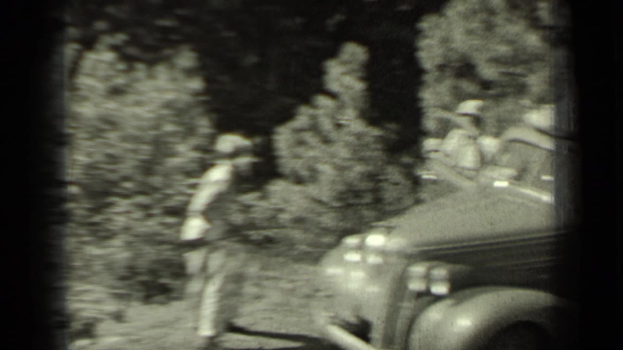 Sedan on a wooded roadside with a person standing nearby and another figure partly visible at the car.
