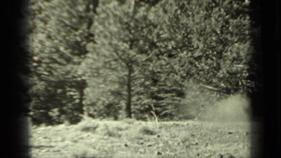 1937 Klamath, California frame with tall trees, grassy ground, and a light dust or haze patch at right.