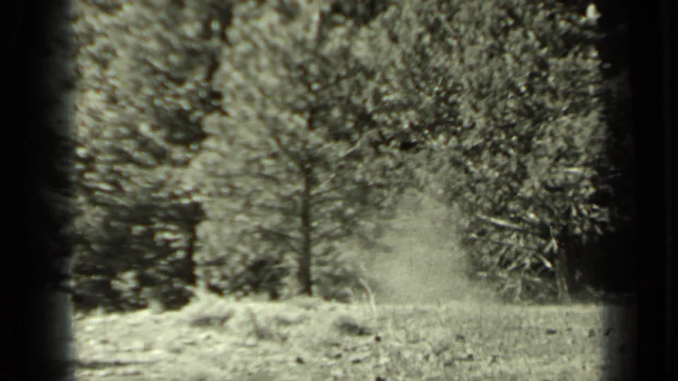 1937 Klamath, California home-movie frame showing trees and grass with a drifting pale haze in the clearing.