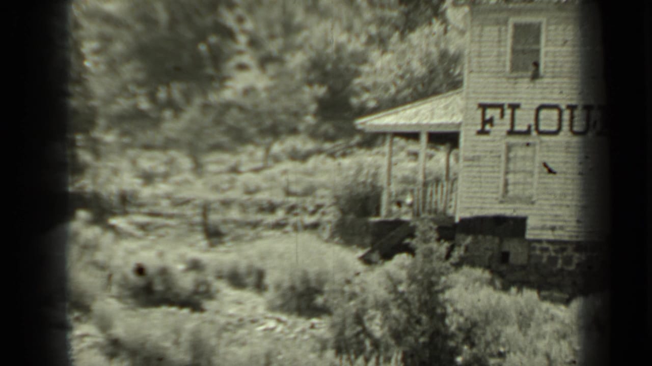 Rural mill building with porch roof, brush, trees, and partial flour lettering.