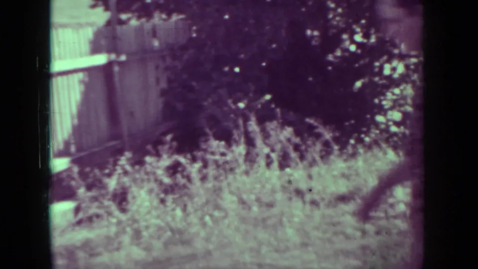 A Medford yard and fence fill the frame as the woman moves out of view, leaving plants and trees prominent in the final moment.
