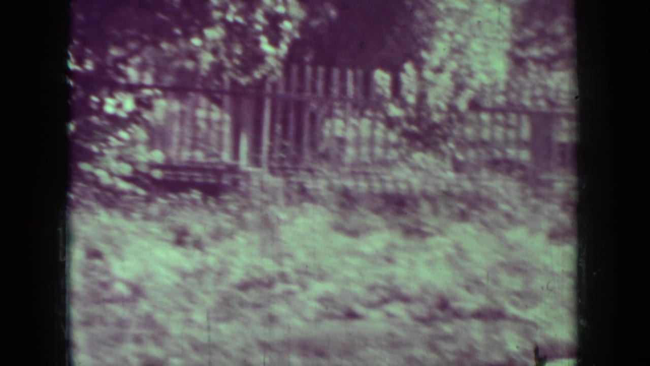 Fenced yard and garden growth with a person partly out of frame at the edge.