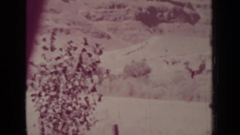 Pink-tinted 8mm view of a hazy Medford-area hillside or roadside vegetation, with scratches, grain, and a dark frame border.