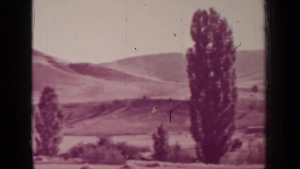 1937 Medford, Oregon home-movie frame showing a tall narrow tree, open field, distant hills, and pale sky in a rural landscape.