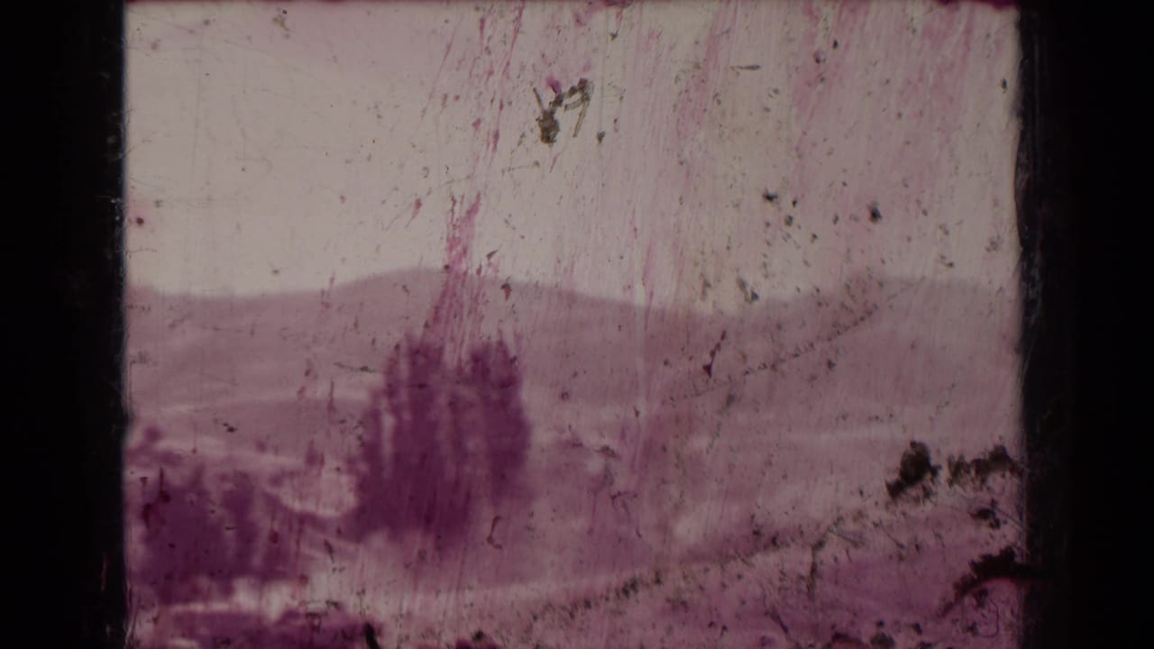 Soft rural landscape with hills, trees, dark film edges, and surface scratches.