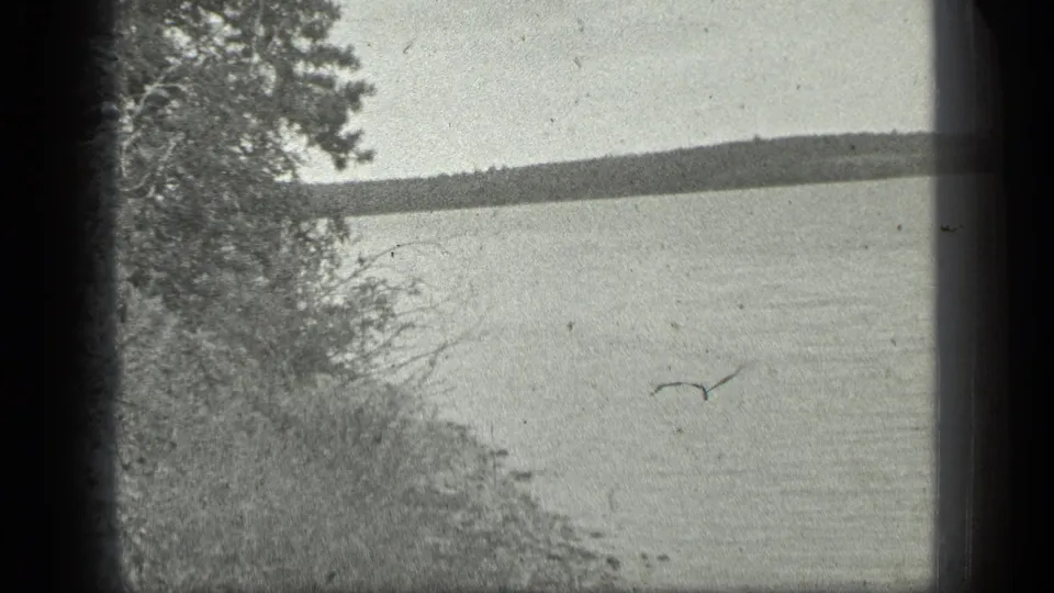 The camera looks from a lakeside edge across open water toward a distant wooded shoreline at Long Lake, Canada.