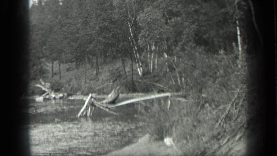 1939 Long Lake, Canada view across calm water toward driftwood, shoreline brush, birch trees, and dense forest.