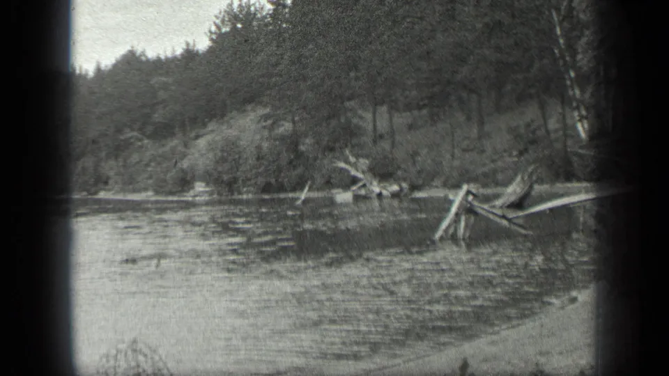 1939 Long Lake, Canada shoreline view showing calm water, fallen branches, brush, birch trunks, and forested banks.