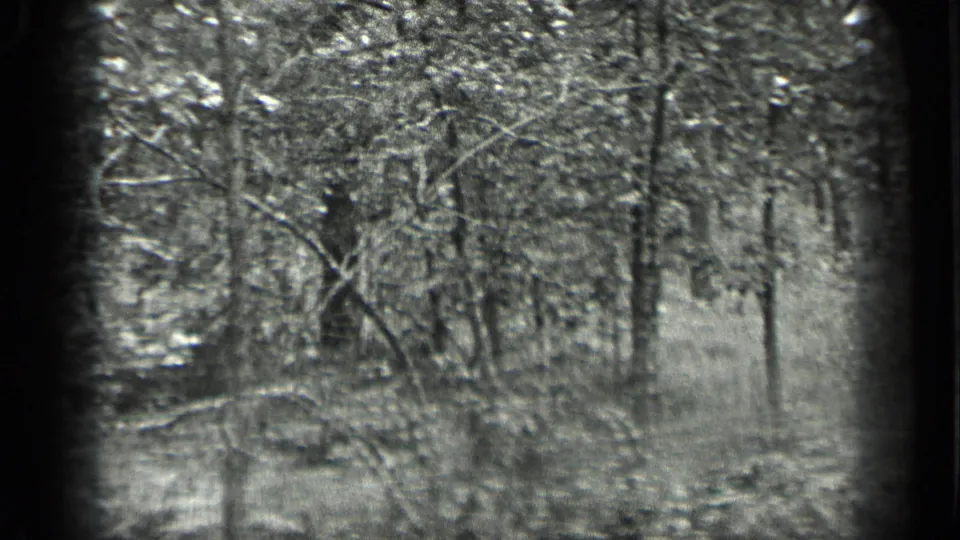 1939 Long Lake, Canada home-movie still showing a small forest clearing with trees, tall grass, and shaded brush.