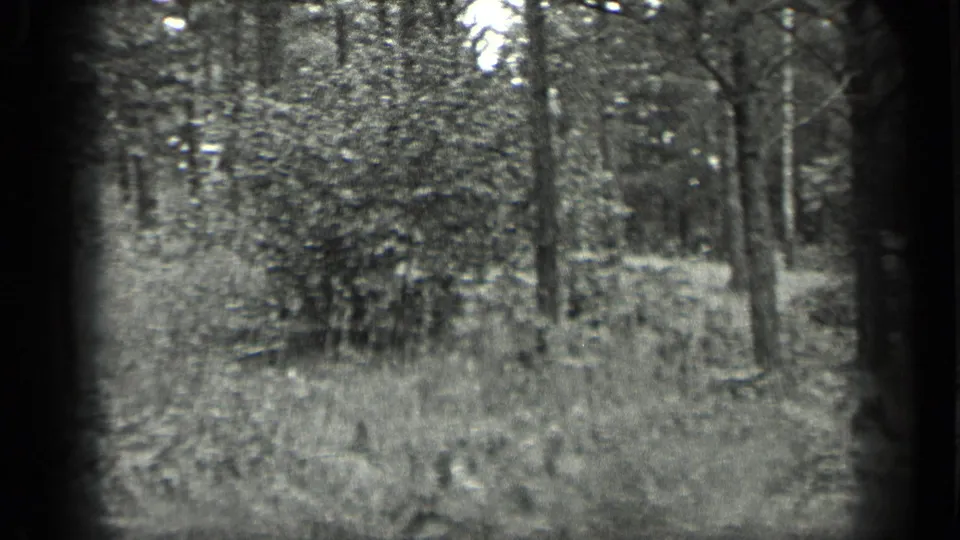 1939 Long Lake home-movie frame showing a quiet wooded area with tree trunks, brush, soft focus, and visible film borders.