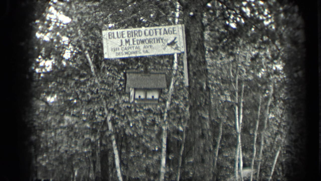 1939 Long Lake, Canada home-movie frame showing a Blue Bird Cottage sign and birdhouse in dense woodland.