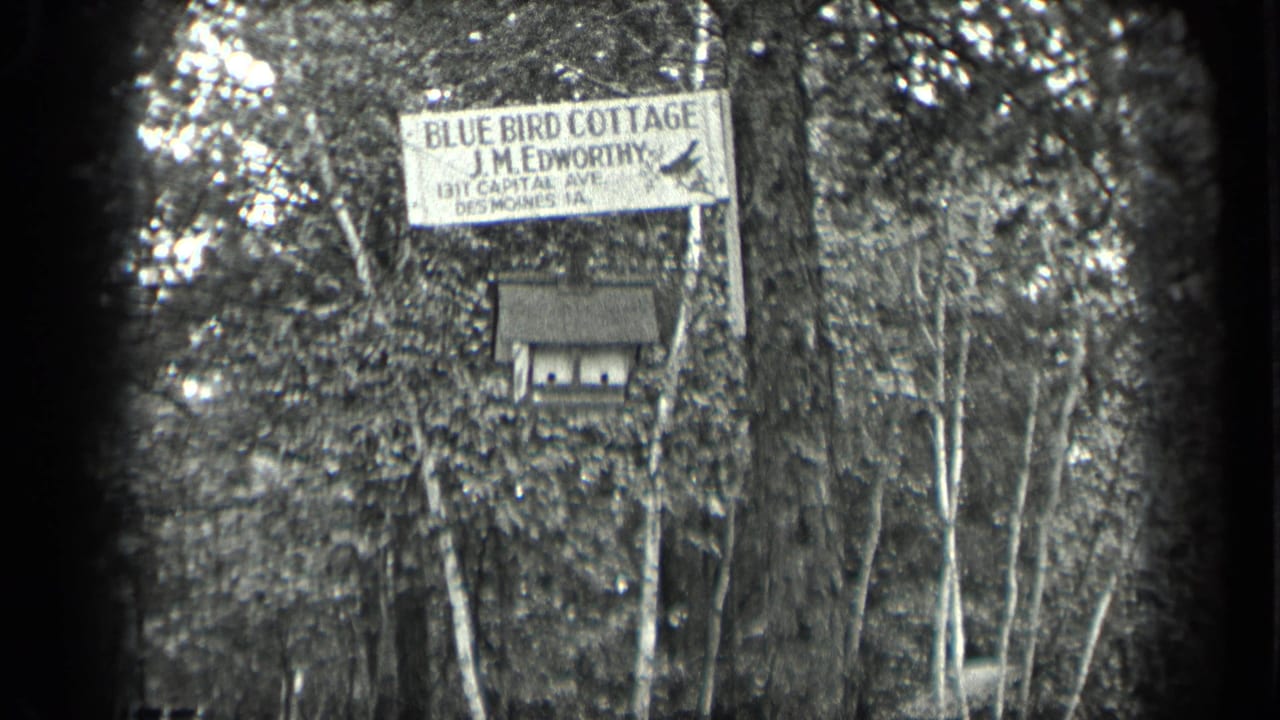 Cottage sign and birdhouse framed by trees and foliage.
