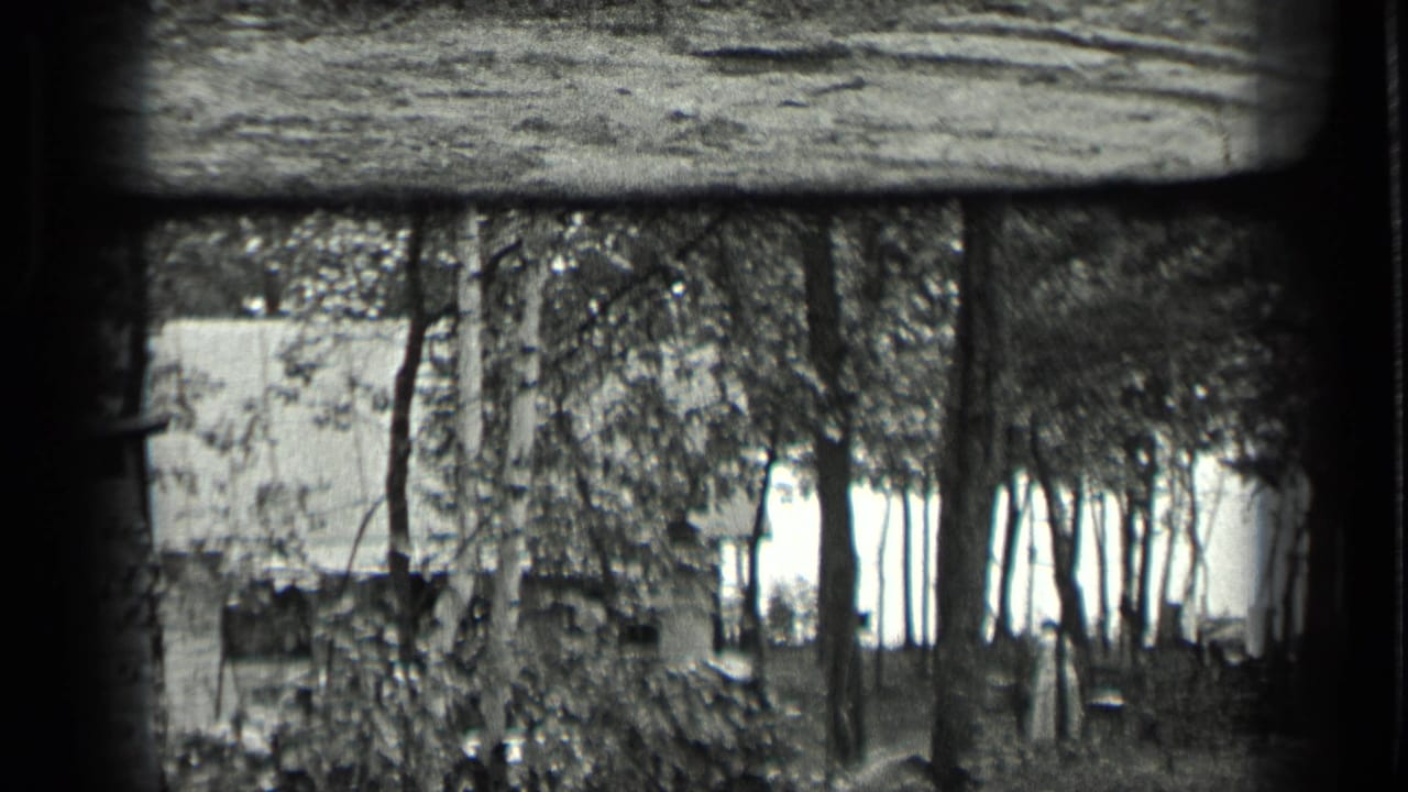 Wooded area with tall trees, brush, and a small structure partly visible through the foliage.