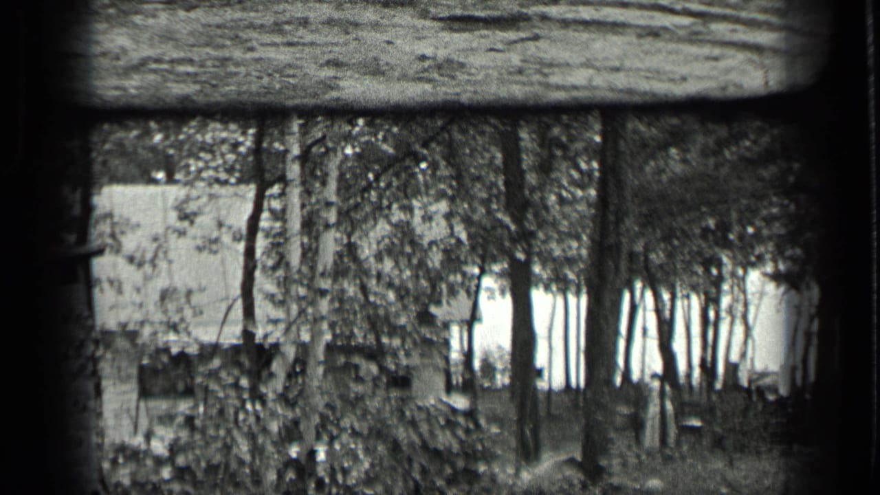A wooded Long Lake scene from 1939 shows a small structure behind trees, with bright lake or sky visible through the trunks.