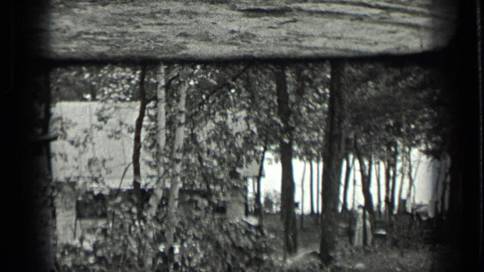 A wooded Long Lake scene from 1939 shows a small structure behind trees, with bright lake or sky visible through the trunks.