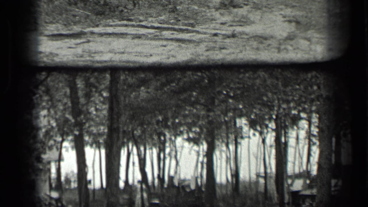 1939 Long Lake, Canada 8mm frame showing trees in front of a small shack or camp structure near a bright lakeside clearing.