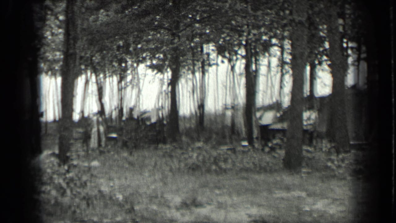 Trees and grass frame a partly obscured shack in a rural wooded setting.