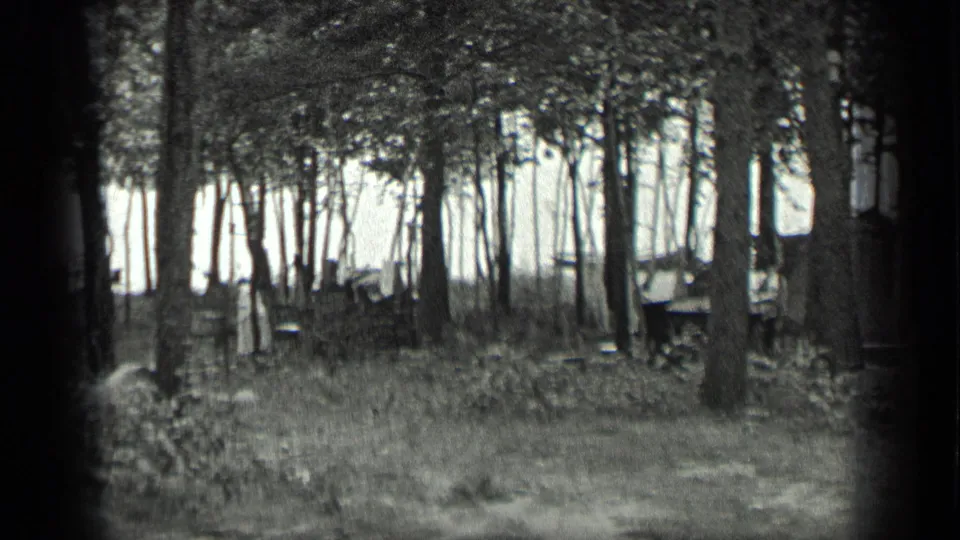 Long Lake, Canada 8mm frame with a small shack or shed partly hidden by trees, with grass and a bright opening beyond.