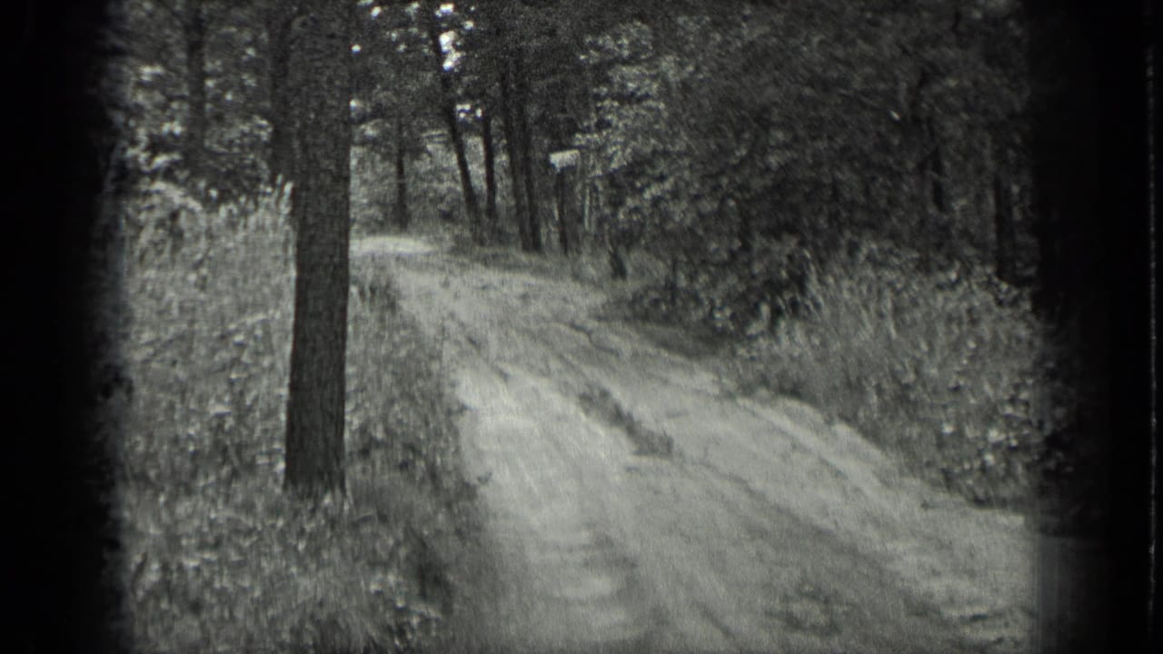 1939 Long Lake, Canada home-movie frame showing a narrow dirt road through wooded terrain with tall trees and soft film grain.
