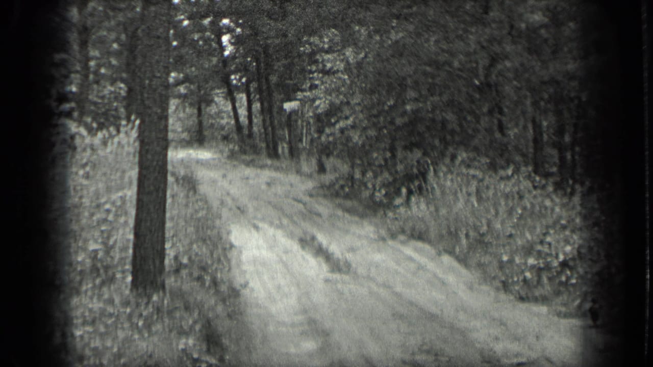 Unpaved road ahead in a forest, bordered by brush and a small sign at right.