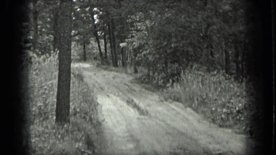 1939 Long Lake, Canada frame of a wooded dirt road with brushy shoulders and a small distant roadside sign.