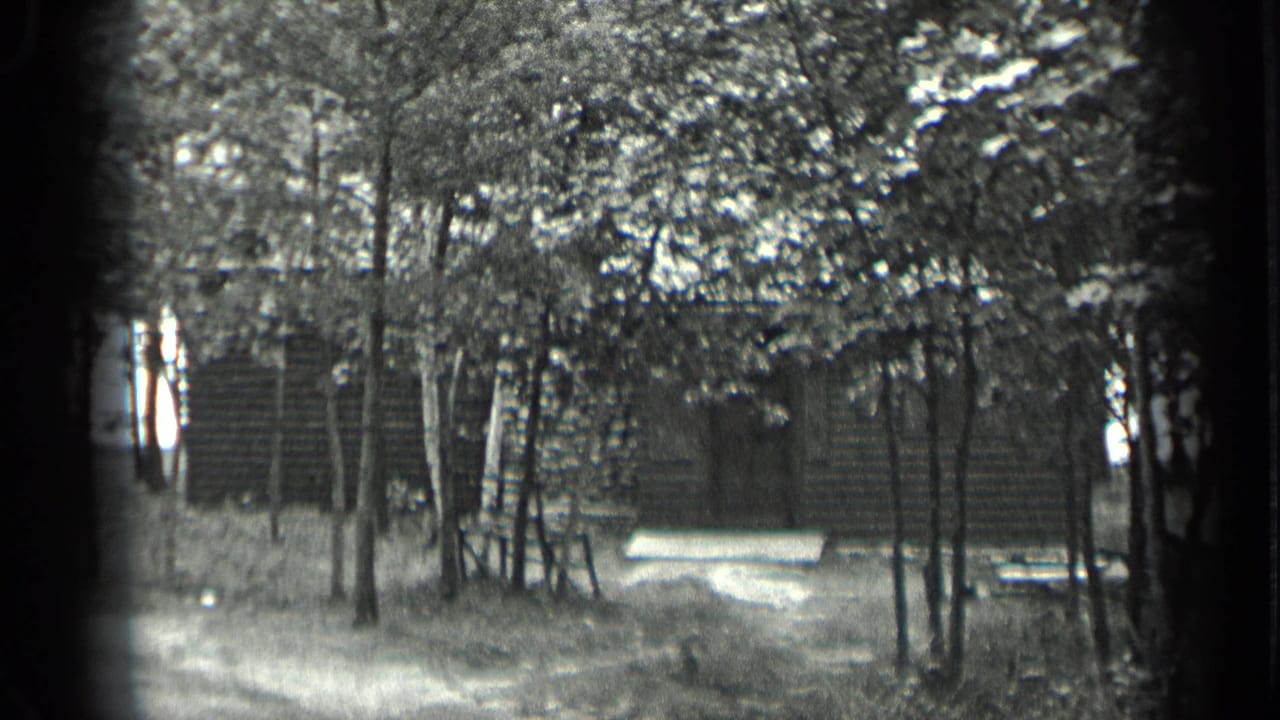 1939 Long Lake, Canada 8mm frame showing a log cabin behind slender trees, with a light bench near the front clearing.