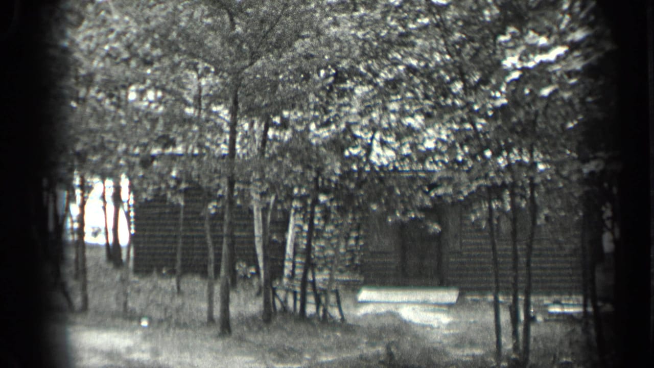 Wooded cabin exterior with trees in front and a bench near the wall.