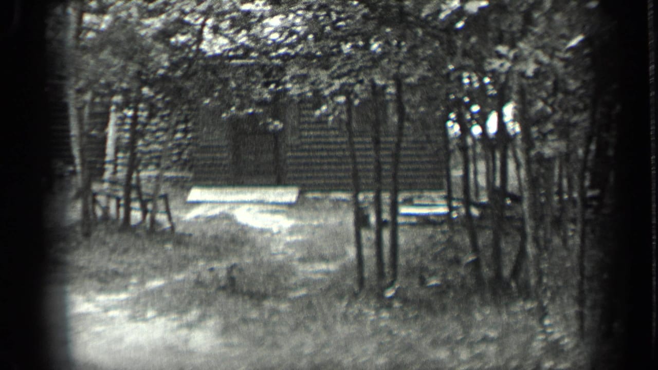Forest clearing with a path curving toward a cabin and bench.