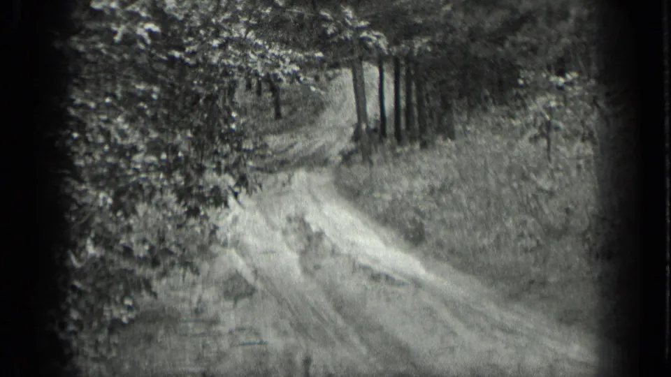 Long Lake woodland frame showing a pale dirt footpath curving through brush and trees, with no people visible.