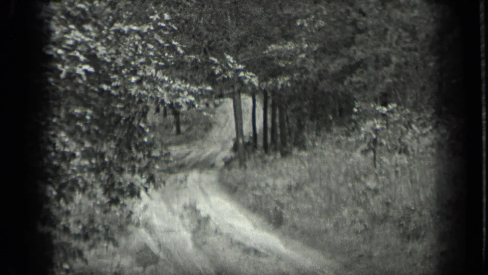 A wooded path or track appears in soft 8mm focus at Long Lake, Canada, with trees and brush filling the frame.