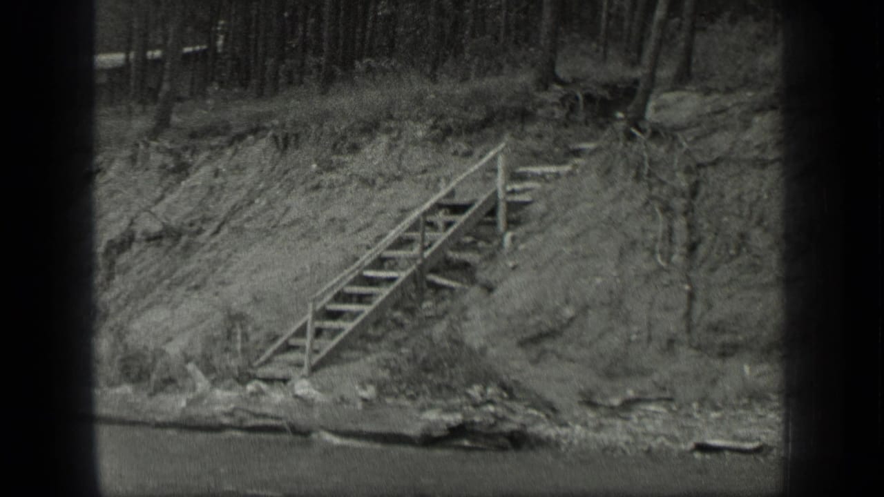 1939 Long Lake, Canada home-movie frame showing wooden stairs on a grassy riverbank beneath a stand of tall trees.