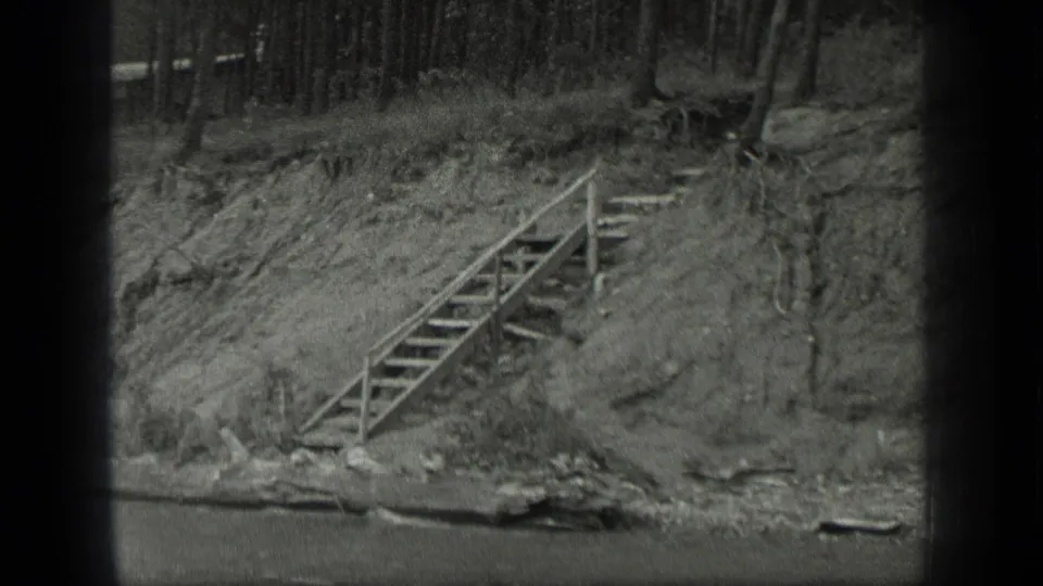 1939 Long Lake, Canada home-movie frame showing wooden stairs on a grassy riverbank beneath a stand of tall trees.