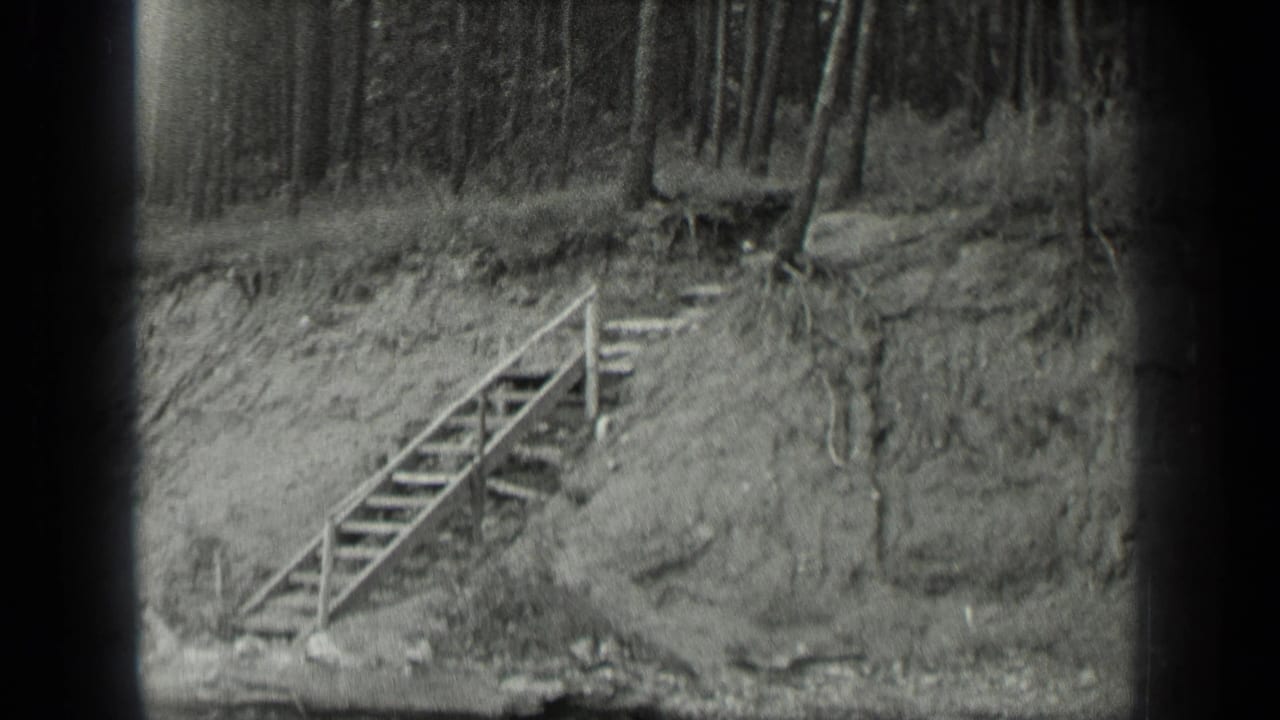Stairs and railings stand on a sloped riverbank with forest behind.