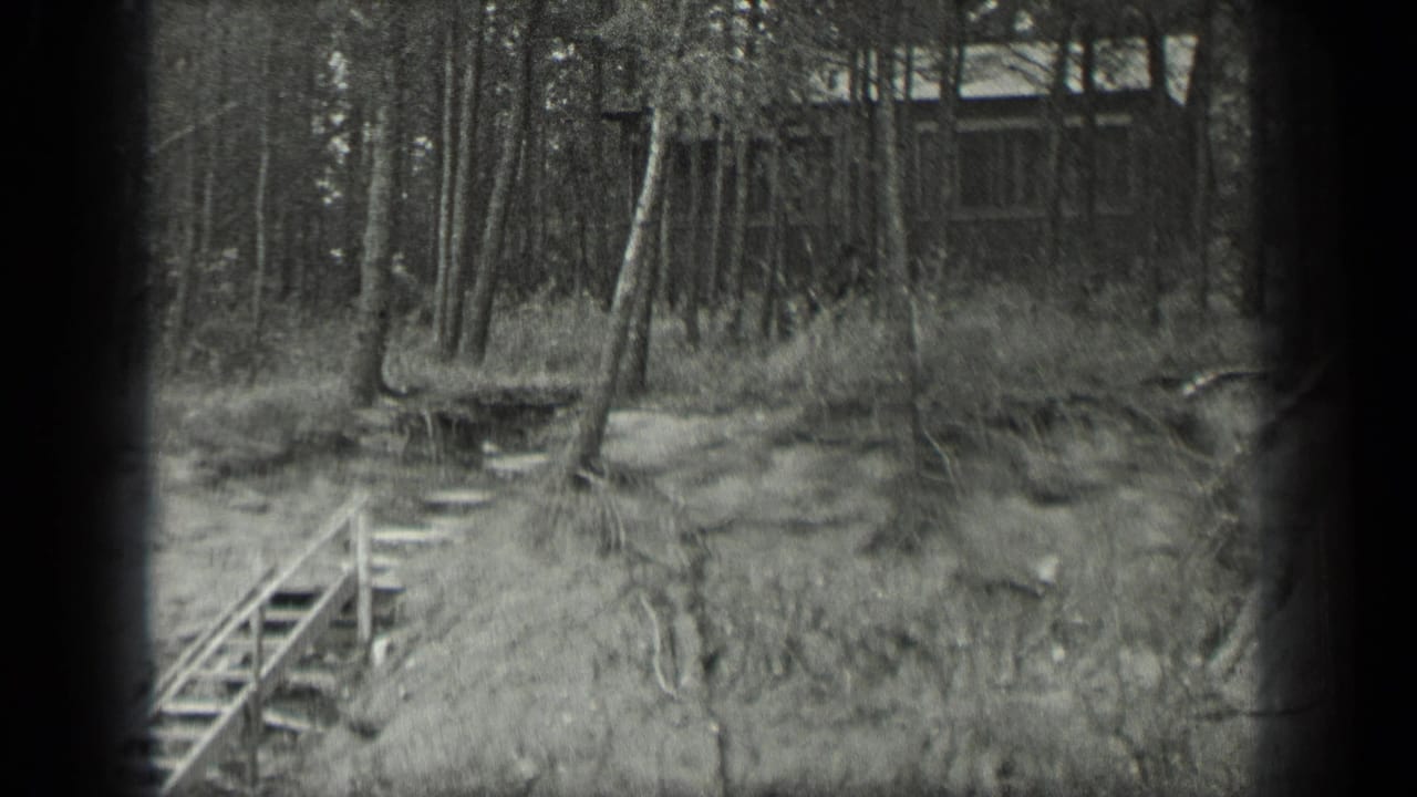 1939 Long Lake, Canada home-movie frame showing rough wooden stairs on a root-filled bank below a cabin in the woods.