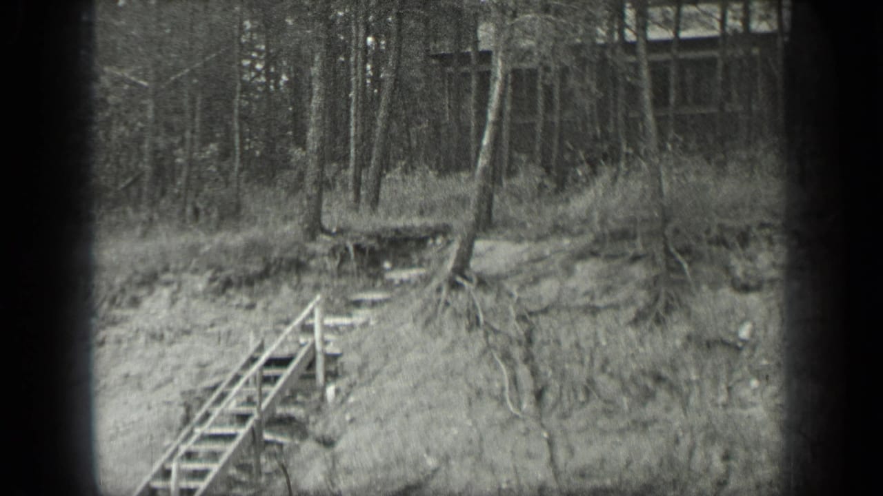 A rough stairway rises from the lower left toward a grassy wooded slope and cabin.