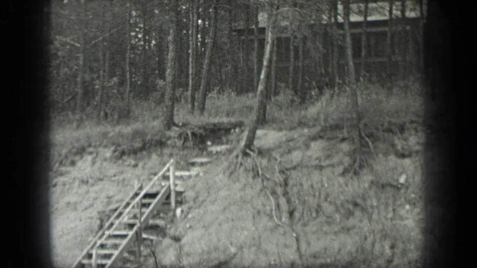 Black-and-white 8mm frame of stairs ascending a wooded Long Lake slope toward a cabin, with roots and grass visible.
