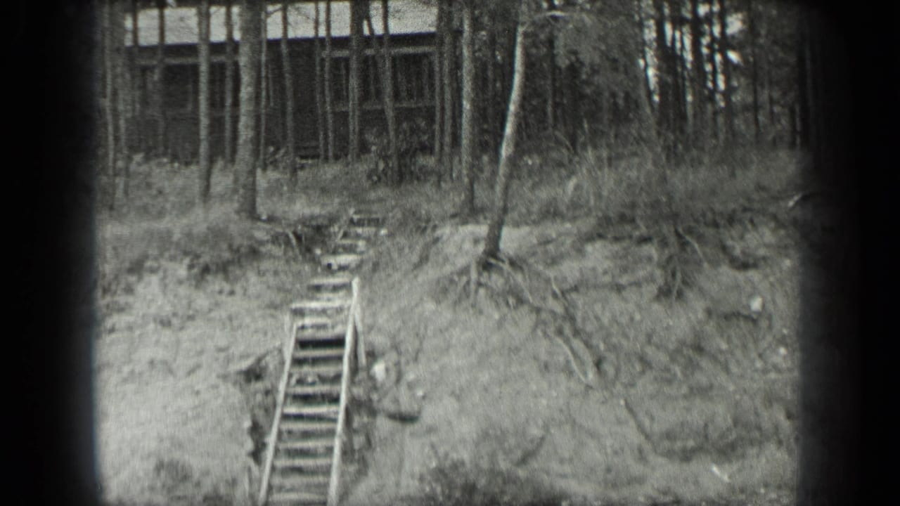 1939 Long Lake, Canada home-movie frame showing rough wooden steps rising from a sandy lakeside bank toward a small shack in dense trees.