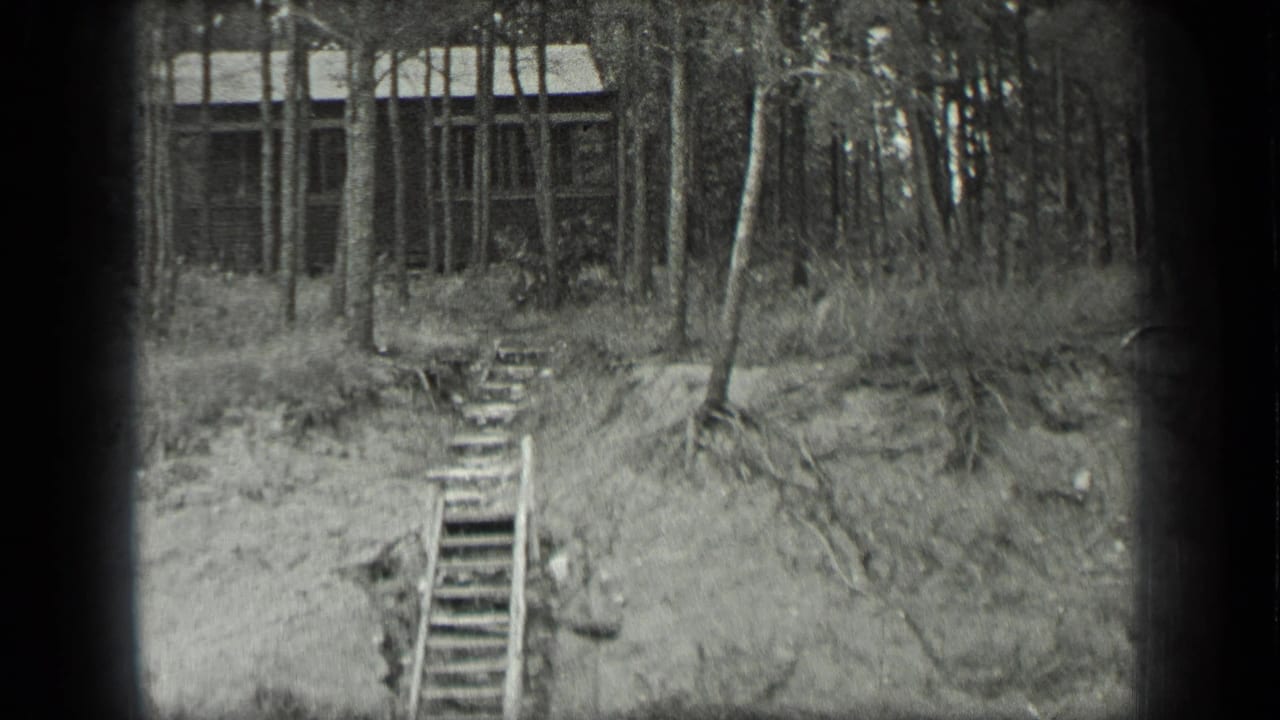 A shack stands behind trees above rough steps on an eroded slope.