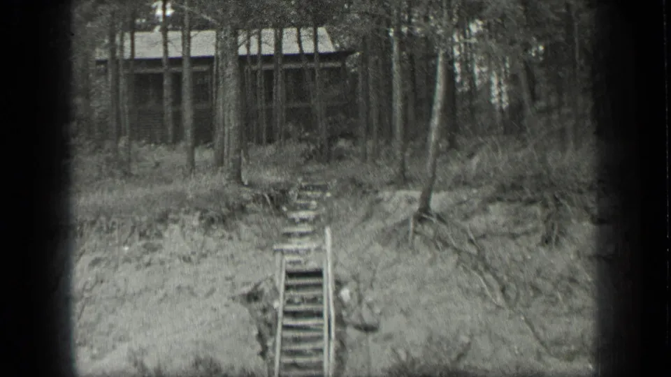 Home-movie frame from Long Lake, Canada showing ladder-like wooden steps, a sandy bank, tree roots, and a shack partly obscured by trunks.
