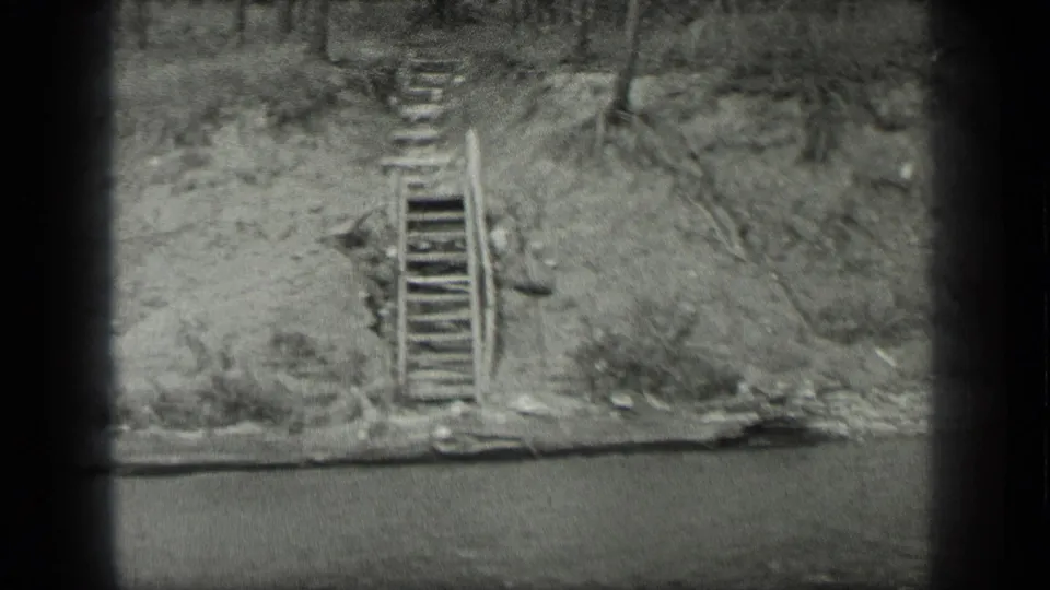 Long Lake shoreline view with weathered steps descending an eroded sandy bank toward water, with roots, stones, and brush visible.